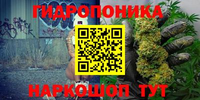 спиды Бийск