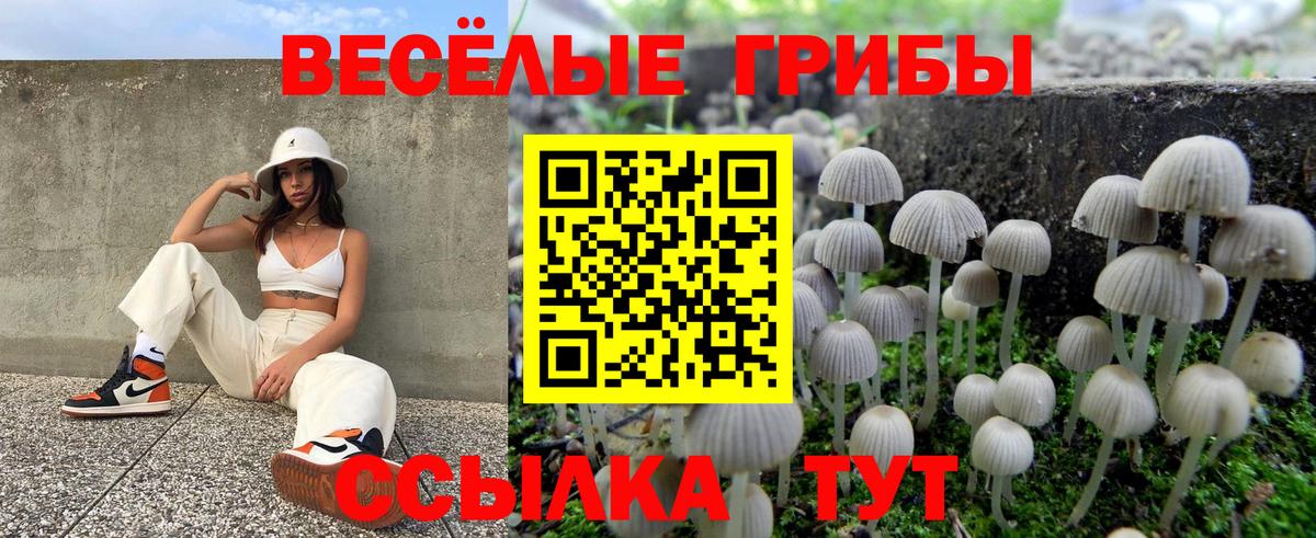 Киров  Галлюциногенные грибы мицелий  Вход с VPN 