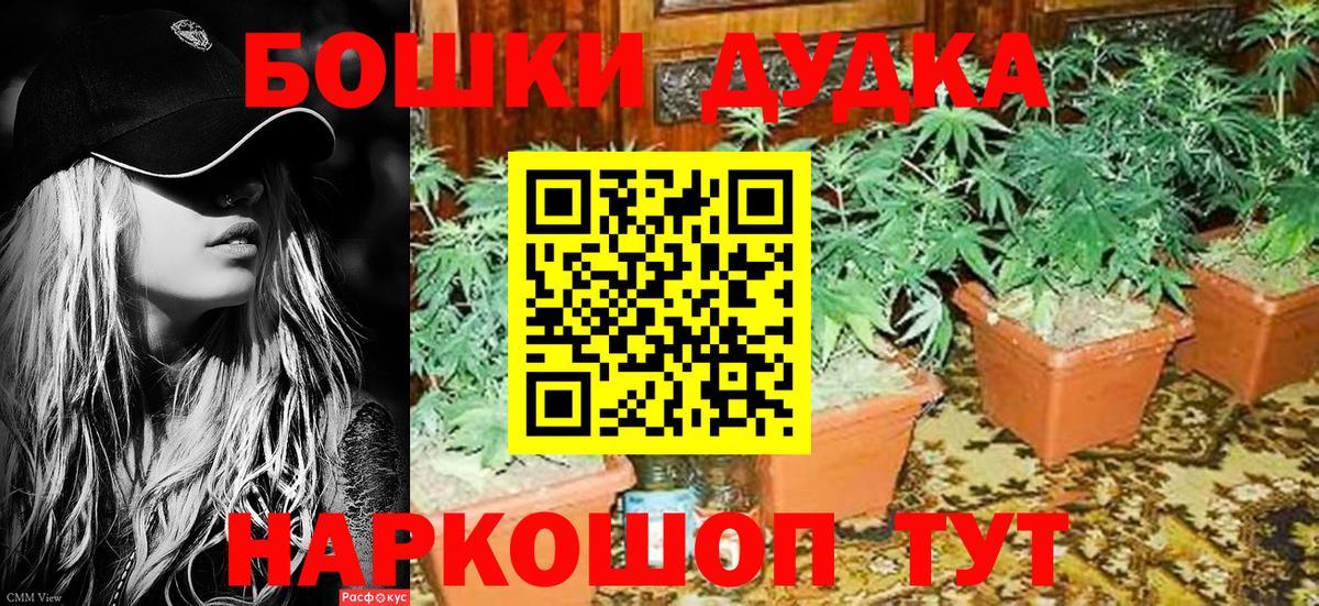 Киров  Марихуана LSD WEED  Бошки марихуана VHQ  Канабис марихуана  Вход с VPN 